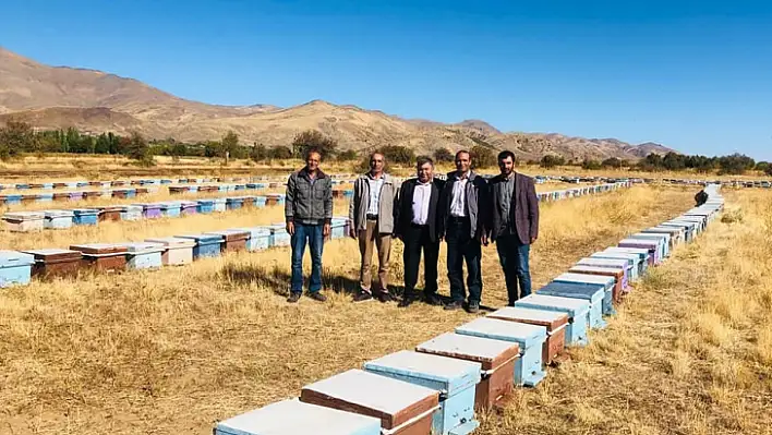 Elazığ'da arılı kovan denetimleri sürüyor