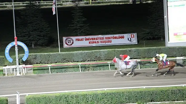 Elazığ'da at yarışlarına sayılı günler kaldı