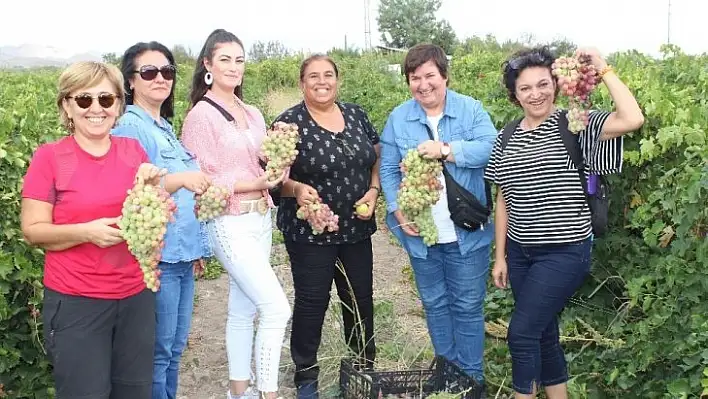 Elazığ'da bağ bozumu turizmi