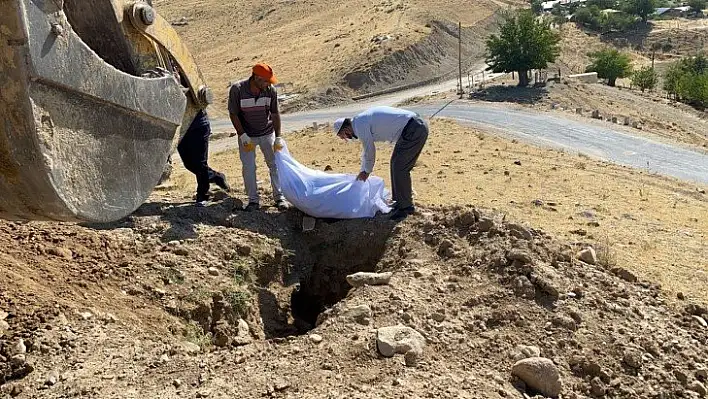 Elazığ'da etrafa saçılan kemikler toplanıp kefenlendikten sonra yeniden defnedildi