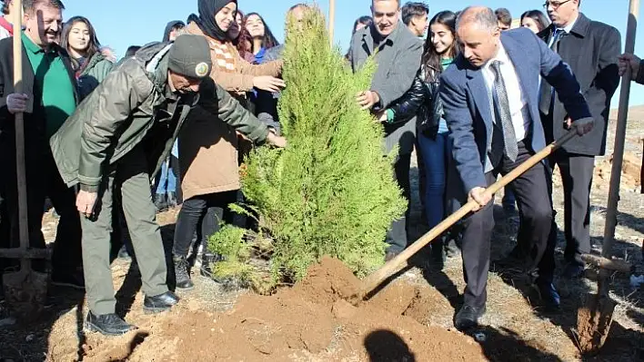 Hayrettin Karaca anısına 200 fidan dikildi