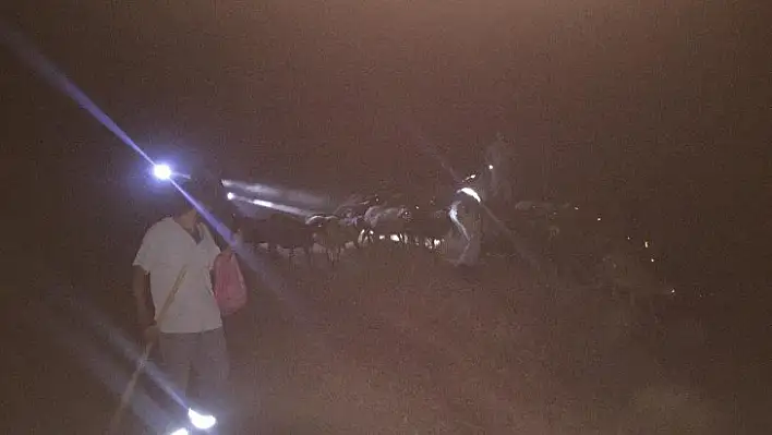 Elazığ'da jandarma kayıp hayvanları gece görüş termalleriyle buldu