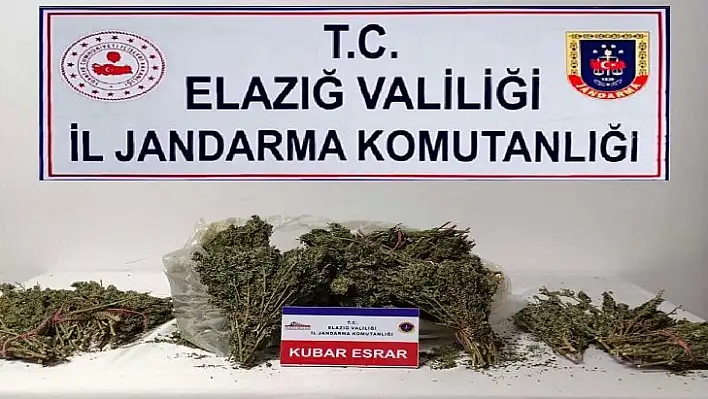 Elazığ'da Jandarma zehir tacirlerine göz açtırmıyor