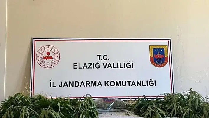 Elazığ'da jandarmadan eş zamanlı uyuşturucu operasyonu