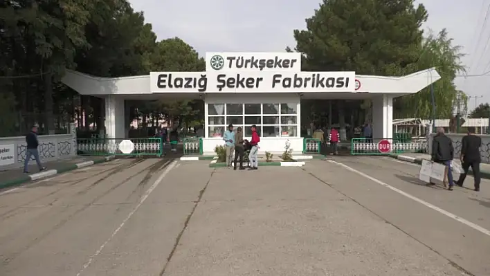 Elazığ'da kaç ton şeker üretimi yapıldı 