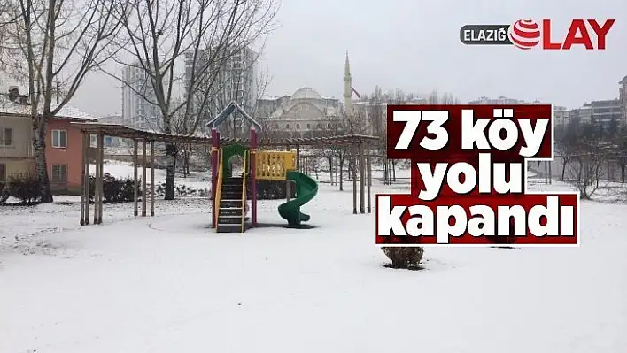 Elazığ'da kar yağışı etkili oldu, 73 köy yolu kapandı