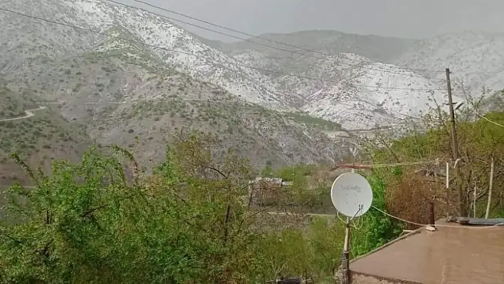 Elazığ'da kayısıyı dolu vurdu