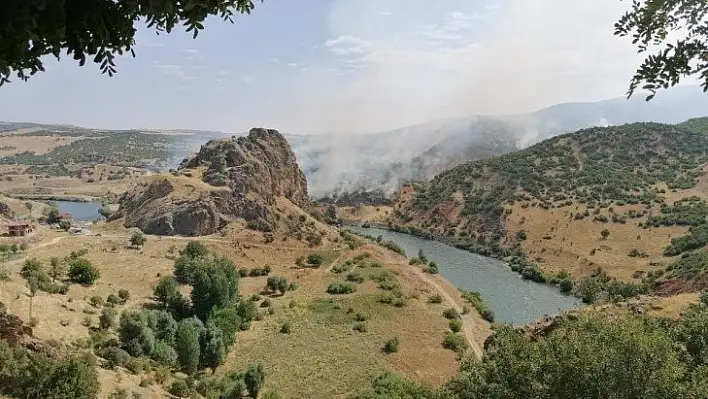 Elazığ'daki yangında 150 dönüm alan zarar gördü