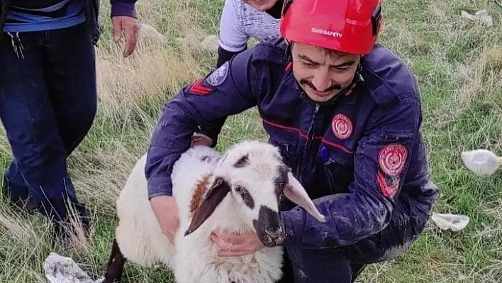 Elazığ'da kuyuya düşen kuzuyu itfaiye kurtardı