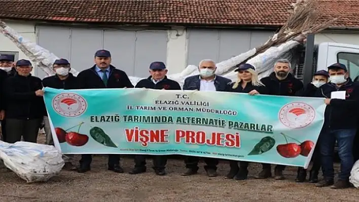 Elazığ'da üreticilere vişne fidanı dağıtıldı