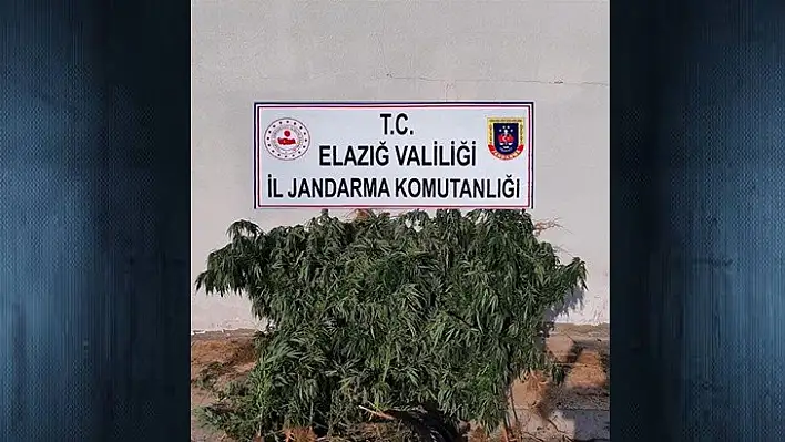 Elazığ'da uyuşturucu operasyonu