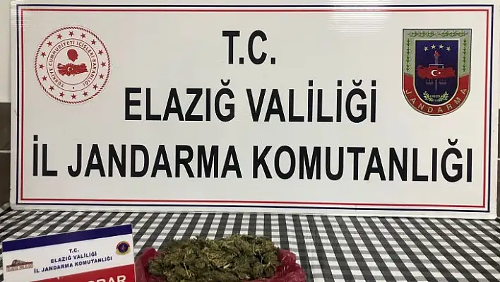 Elazığ'da uyuşturucu operasyonu: 1 gözaltı