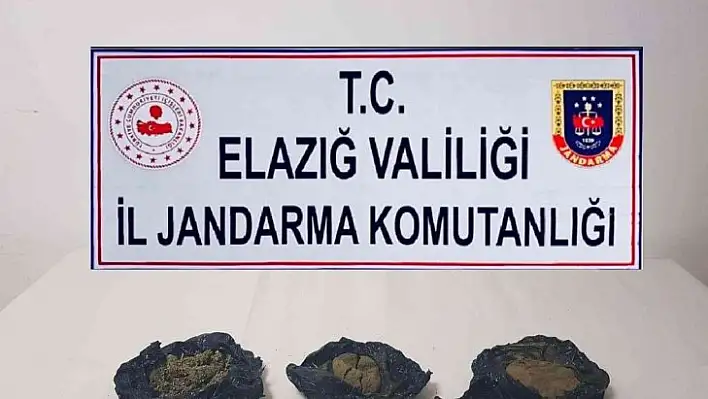 Elazığ'da uyuşturucu operasyonu: 2 gözaltı