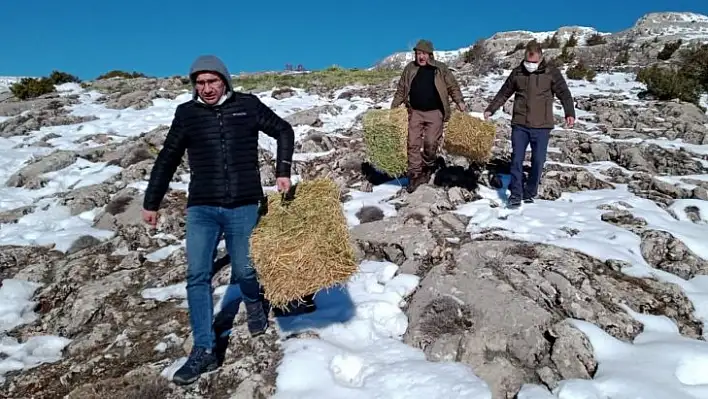 Elazığ'da yaban hayatı için doğaya tonlarca yem bırakıldı