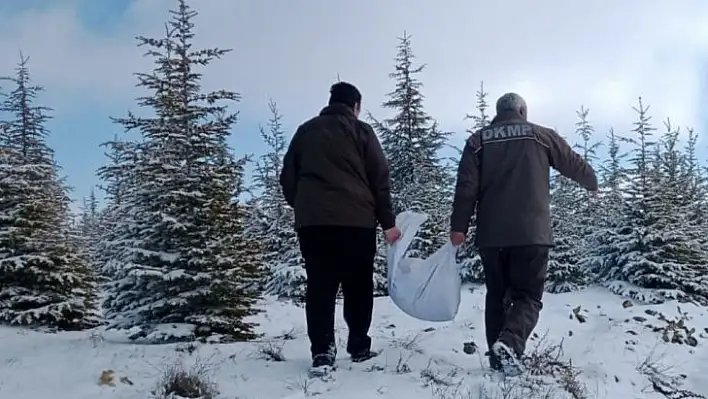 Elazığ'da yaban hayvanları için doğaya yem bırakıldı