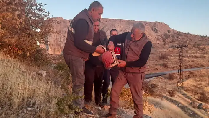 Elazığ'da yasadışı avcılık yapan şahsa idari işlem uygulandı