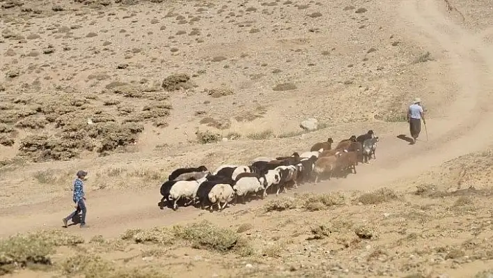 Elazığ'da yaylacılar dönüş hazırlığına başladı