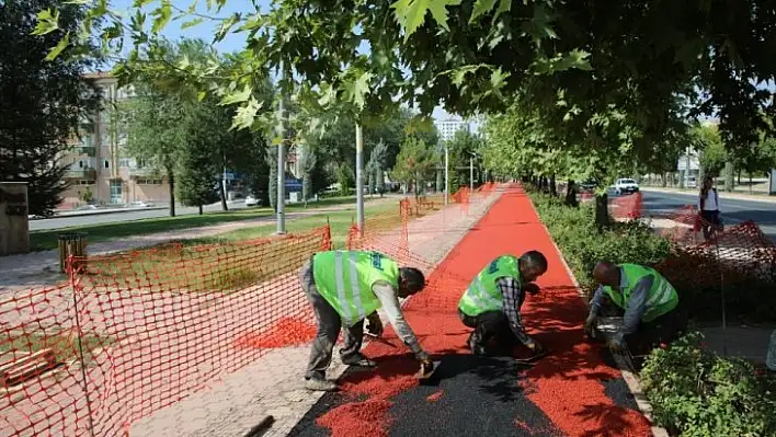 Elazığ'da yürüyüş yollarında yenileme çalışması