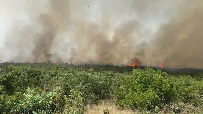 Elazığ'daki orman yangını kontrol altına alındı