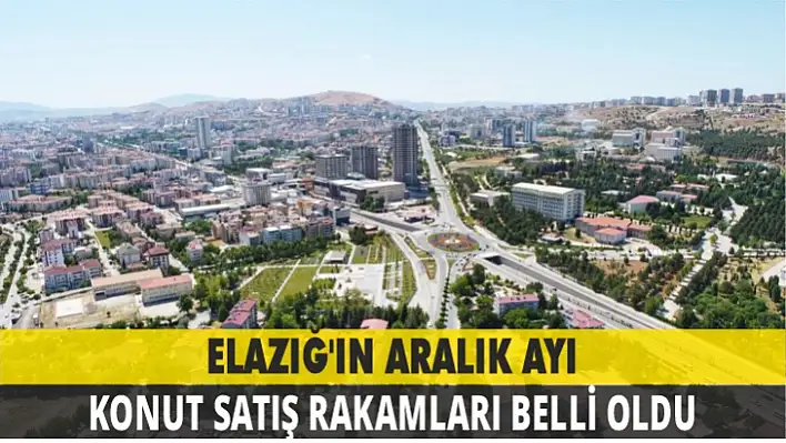 Elazığ'ın Aralık ayı konut satış rakamları belli oldu