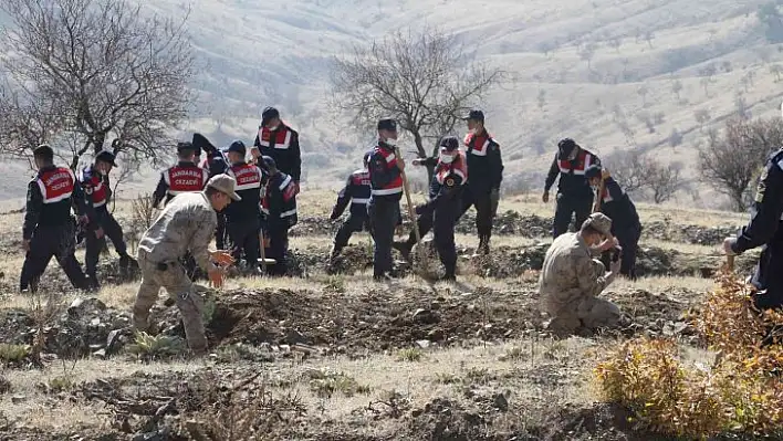 Elazığ Jandarma, Harput Mahallesine 2 bin fidan dikti