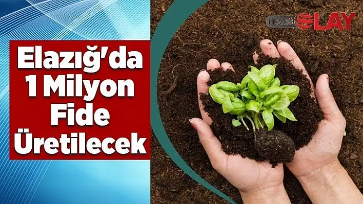 Elazığ'da 1 Milyon Fide Üretilecek