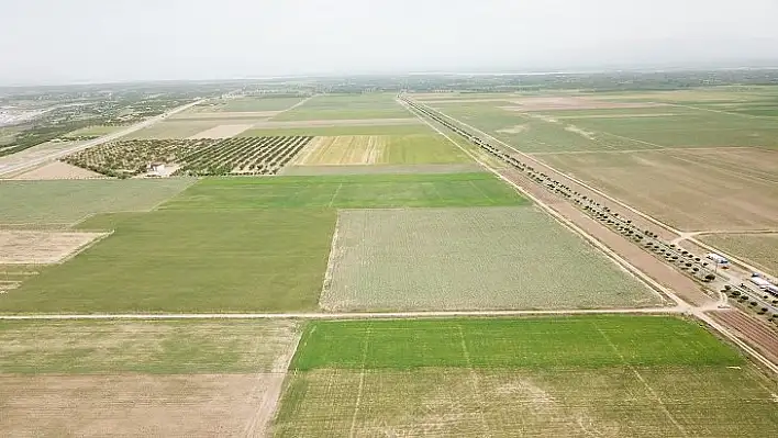 Elazığ'da 7 Bin 93 Hektar Arazi Toplulaştırıldı