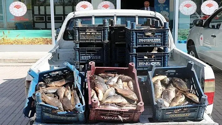 Elazığ'da  Bir Ton Kaçak Balık Ele Geçirildi