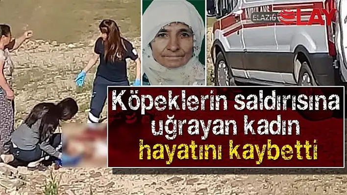 Elazığ'da köpeklerin saldırısına uğrayan kadın hayatını kaybetti