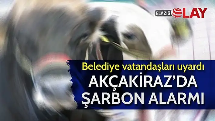 Elazığ'da şarbon alarmı