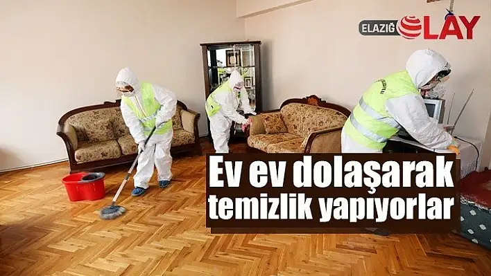 Ev ev dolaşarak temizlik yapıyorlar