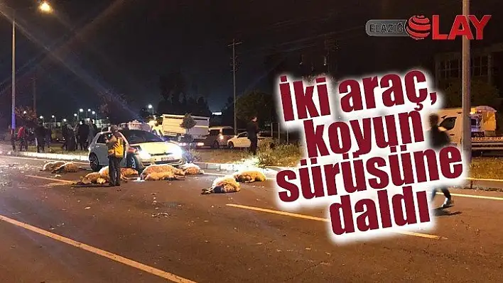 İki araç, koyun sürüsüne daldı