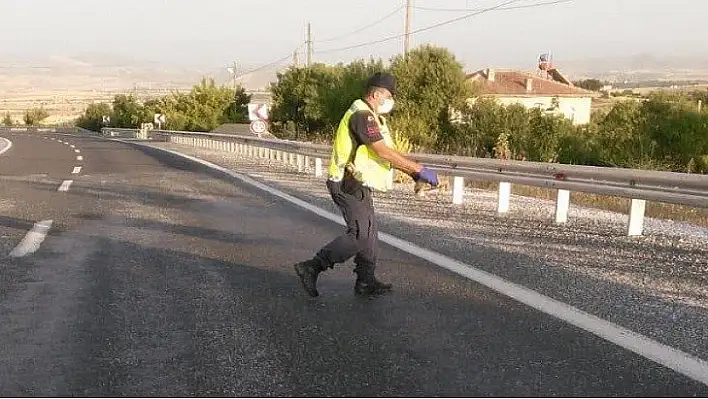 Jandarma kaplumbağaların zarar görmemesi için devriye yapıyor