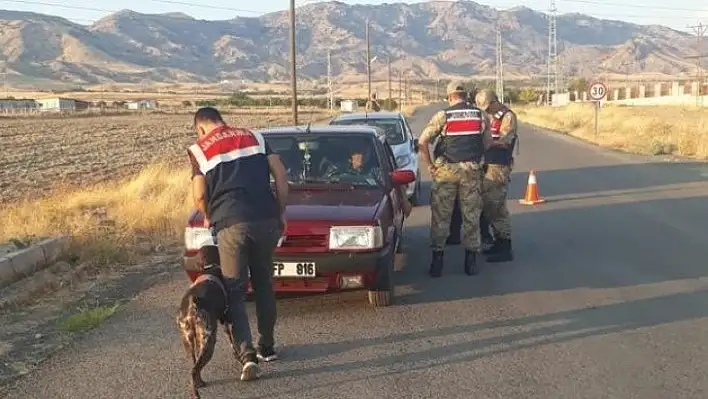 Jandarmadan 'Asayiş ve Huzur' uygulaması, 15 aranan şahıs yakalandı