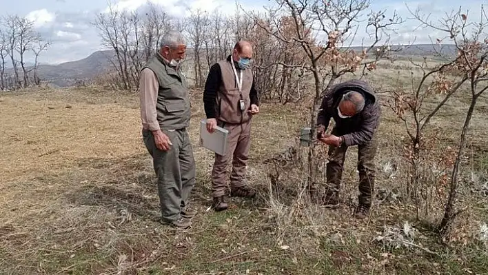 Kaçak ava karşı foto kapanlar kuruldu, kaçak meterisler yıkıldı