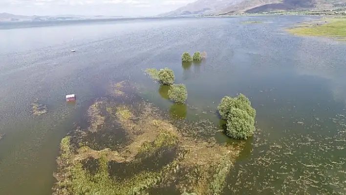 Kar eridikçe baraj doldu, içme suyu kuyuları su altında kaldı