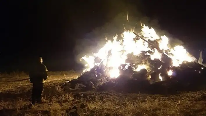 Kars'ta 7 ton ot yanarak kül oldu