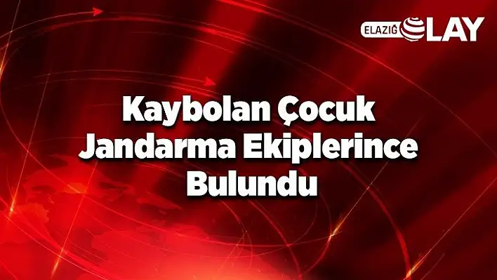 Kaybolan çocuk Jandarma ekiplerince bulundu