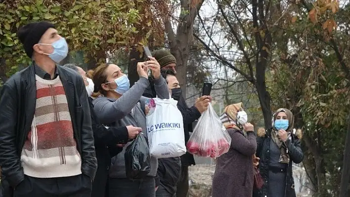 Korona unutuldu, intihara teşebbüsü vatandaşlar film gibi izledi