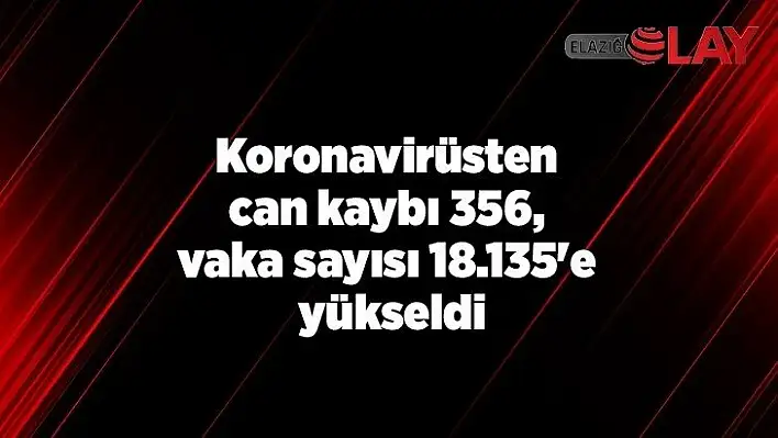 Koronavirüsten can kaybı 356, vaka sayısı 18.135'e yükseldi