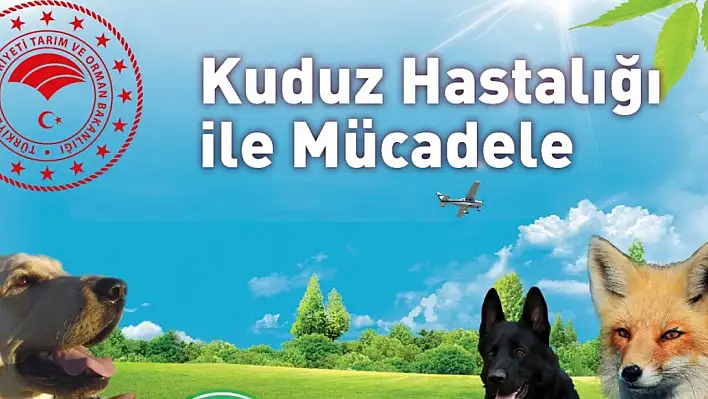 Kuduz vakalarına karşı havadan ilaçlama