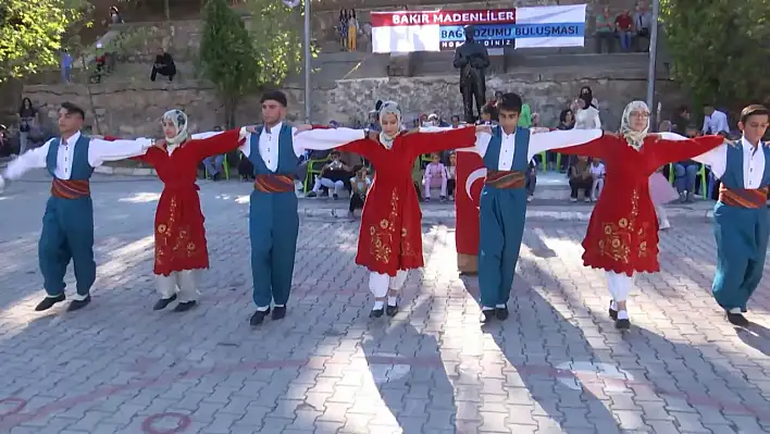 Maden'de Bağ Bozumu Şenliği düzenlendi