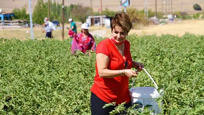 Marketlerdeki fahiş fiyata kızdı, tarlasını vatandaşlara açtı