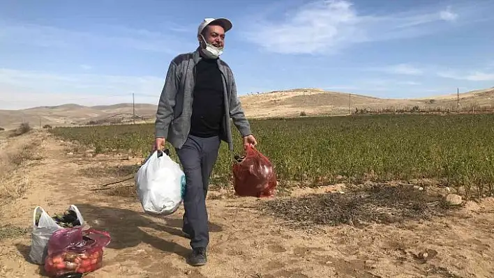 Marketlerdeki fiyata kızdı, 20 dönümlük sebze tarlasını vatandaşlara ücretsiz açtı