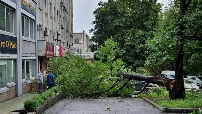 Maysak tayfunu Rusya'yı vurdu