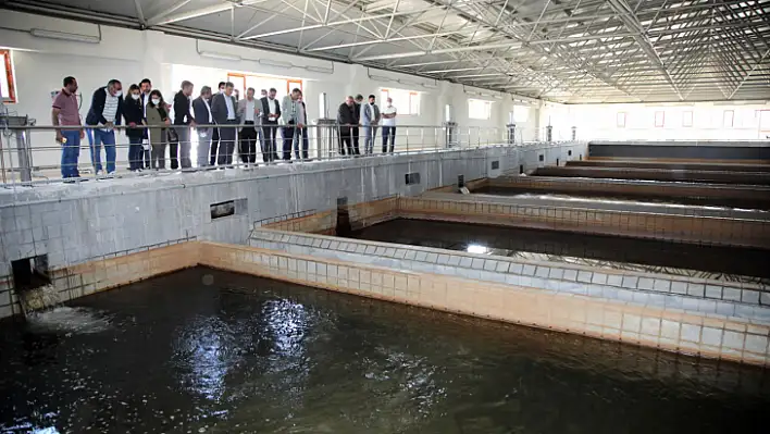 Meclis üyeleri su arıtma tesisini inceledi