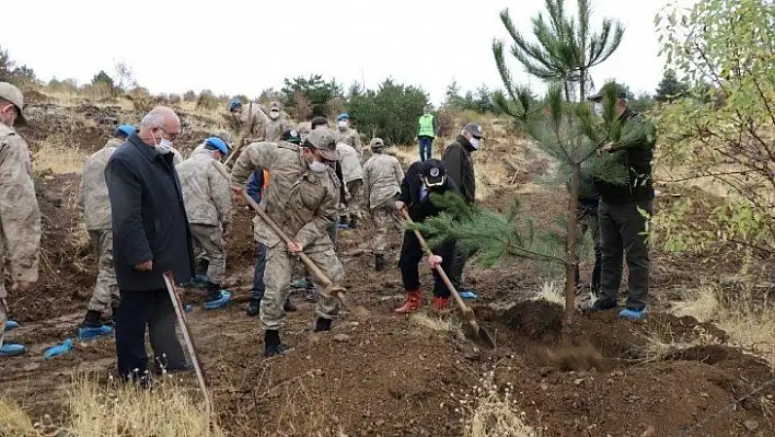 Mehmetçik, şehit ve depremde hayatını kaybedenler için bin fidan dikti