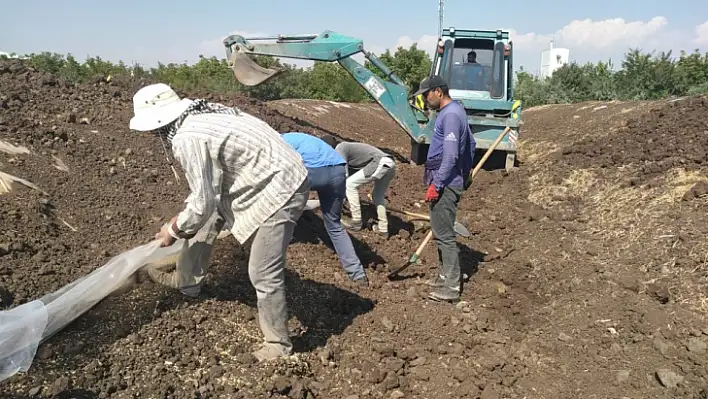 Milletvekili Keleş'ten hububat alım açıklaması 