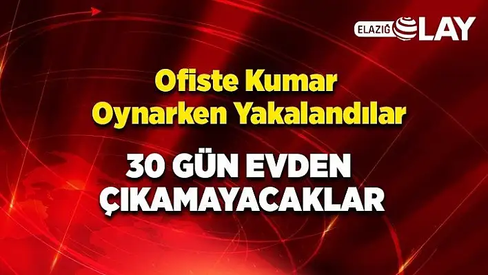 Ofiste Kumar Oynarken Yakalandılar