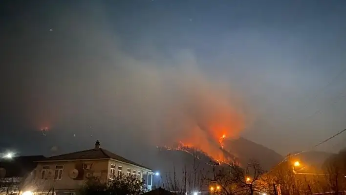 Rusya'da yeni yıl kutlamalarında atılan havai fişekler orman yangınına neden oldu